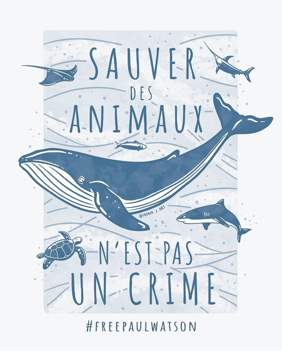 Sauver des animaux n'est pas un crime