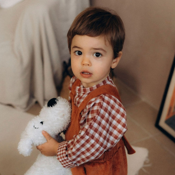 Ensemble vêtements bébé avec chemise bébé garçon Matisse en double gaze de coton vichy rouge et blanc écoresponsable fabriquée en France par Les p'tites Merveilles de Bérénice taille 24 mois porté par Robin 20 mois